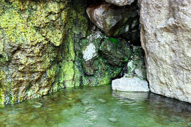 Goldstrike Hot Springs and 124 Degree Magma Heated Waterfall Hike - Why This Tour Offers Real Value