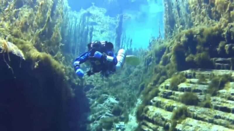 Golem/Durres: Ionian Sea Scuba Diving Experience - Key Points