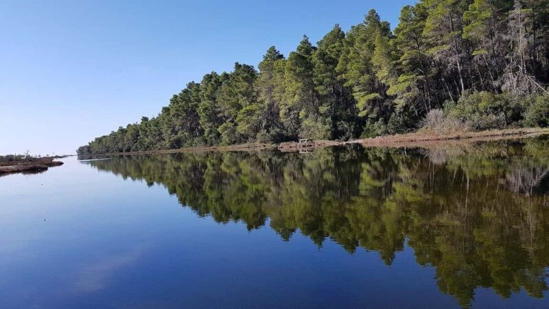 Golem/Durrës: Karavasta Lagoon Tour - Key Points