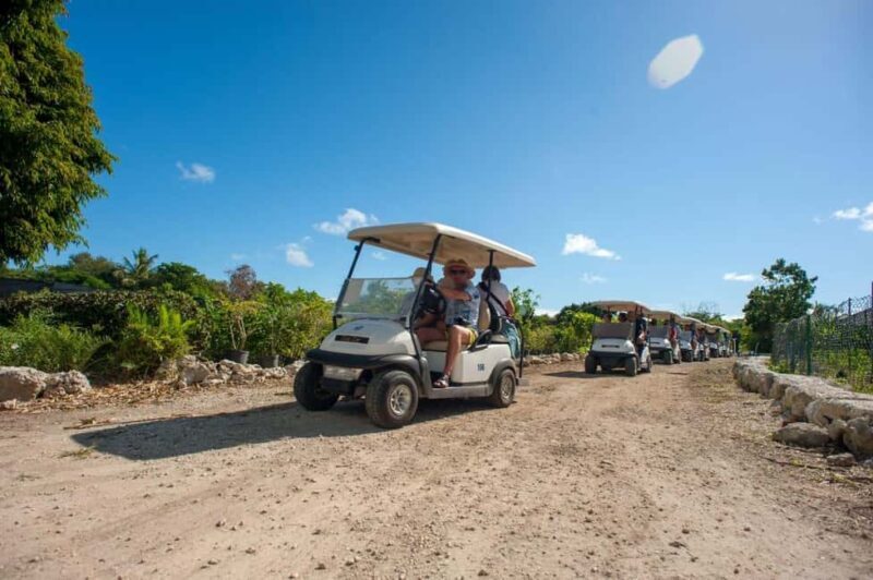 Golf Cart Eco Tour Half Day Tour - A Detailed Look at the Eco Tour Experience