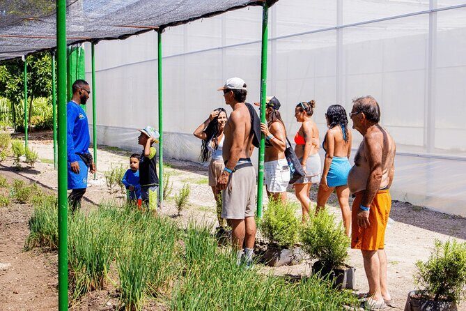 Golf Cart Eco Tour Half Day Tour - The Sum Up: A Gentle, Scenic Peek into Punta Cana’s Nature