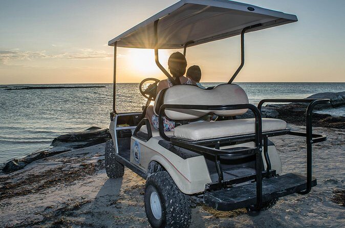 Golf Cart Rental in Holbox From 4 hours - What’s Included and What to Watch Out For