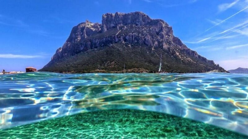 Golfo Aranci: boat tour in the Tavolara Protected Area - Who Should Book This Tour?