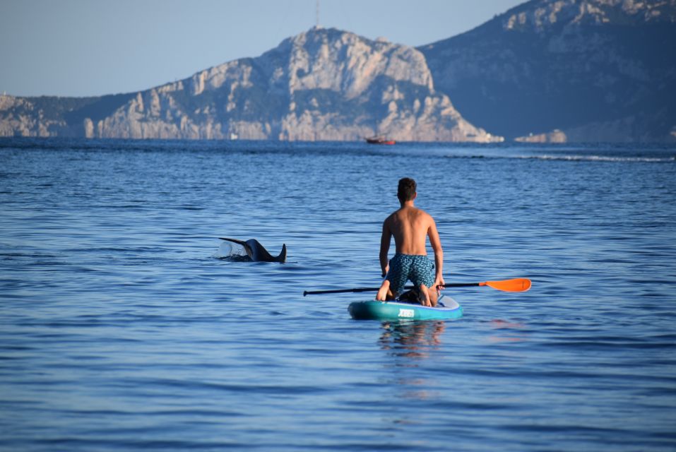 Golfo Aranci: Dolphin Watching SUP Paddleboard Tour - Experience Highlights
