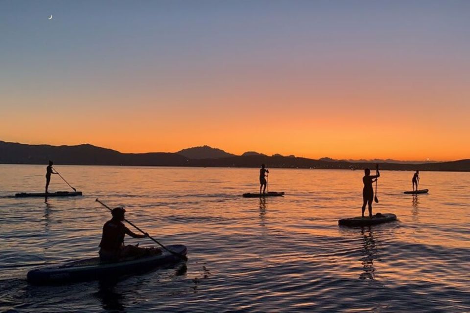Golfo Aranci: Dolphin Watching SUP Paddleboard Tour - Dolphin Spotting Details