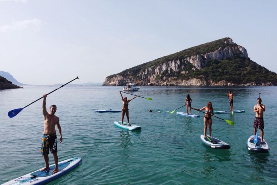 Golfo Aranci: Dolphin Watching SUP Paddleboard Tour - Important Information