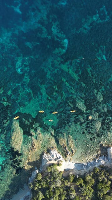 Golfo Aranci: German Guided Kayak Tour, Aperitif & Dolphins - Important Information