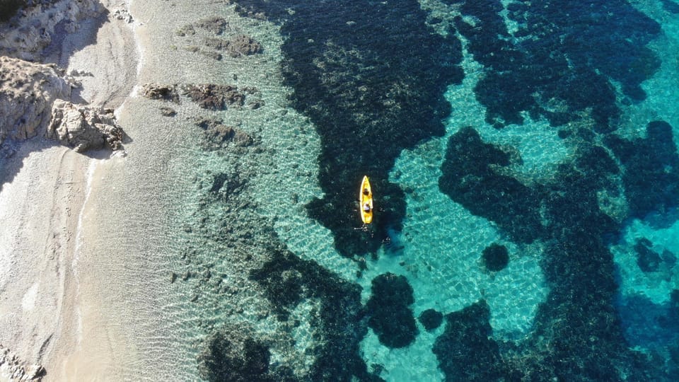 Golfo Aranci: German Guided Kayak Tour, Aperitif & Dolphins - Ask Away