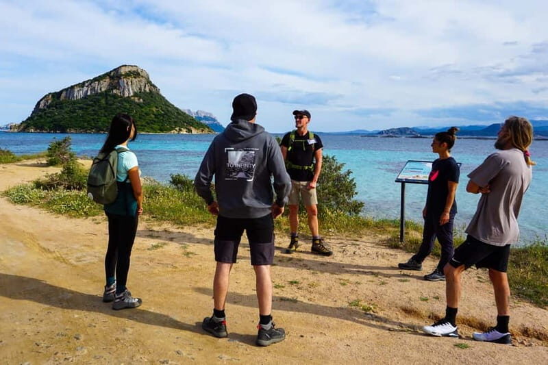 Golfo Aranci: Guided panoramic hike with aperitif and photos - WWII Hidden Fort