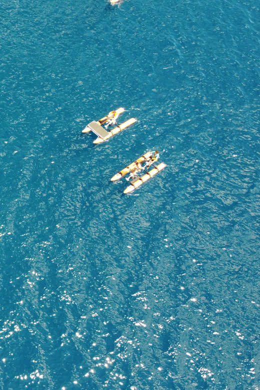 Golfo Aranci: Hydrobike Experience With Aperitif & Dolphins - Tour Details