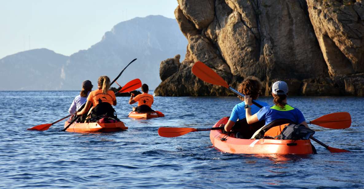 Golfo Aranci: Kayak Tour With Dolphins and Aperitif - Experience Highlights