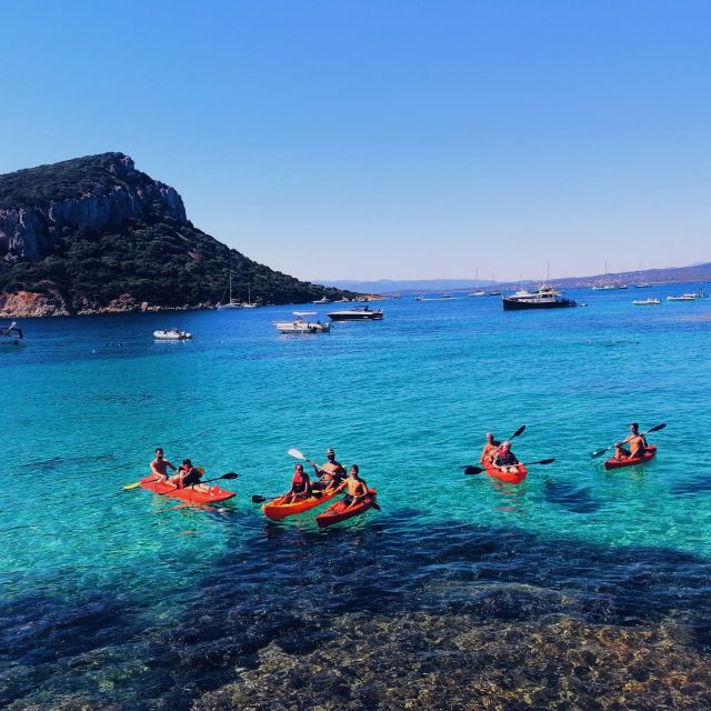 Golfo Aranci: Kayak Tour With Dolphins and Aperitif - Inclusions and Requirements