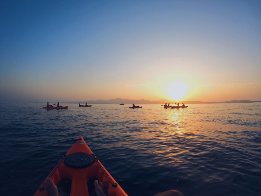 Golfo Aranci: Kayak Tour With Dolphins and Aperitif - What to Bring