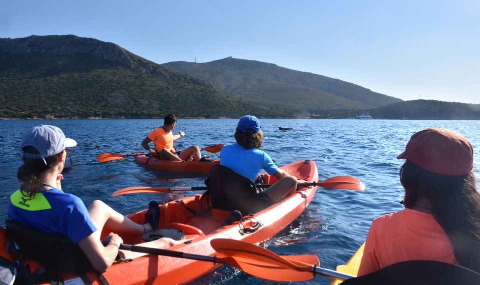 Golfo Aranci: Kayak Tour With Dolphins and Aperitif - Tips for an Enjoyable Tour