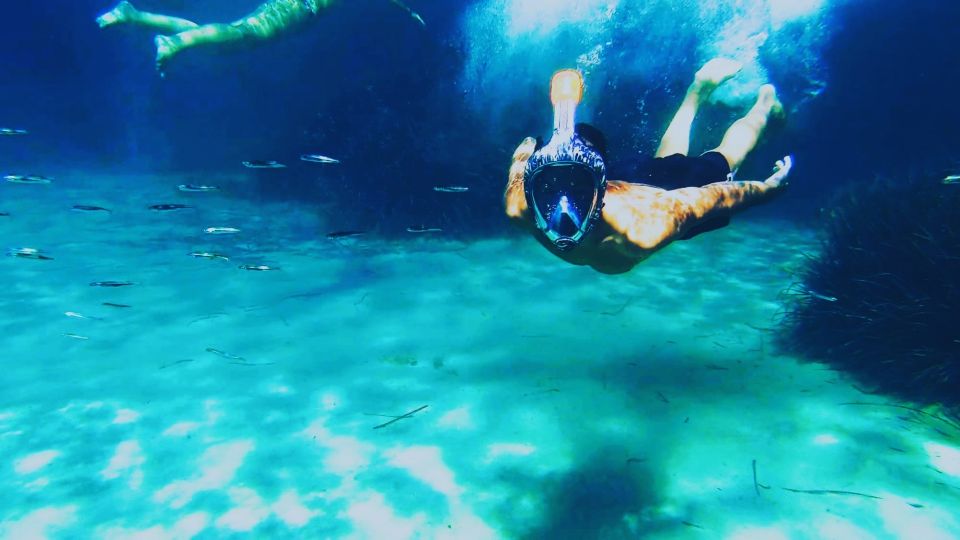 Golfo Aranci: Kayak Tour With Dolphins and Aperitif - Booking Information