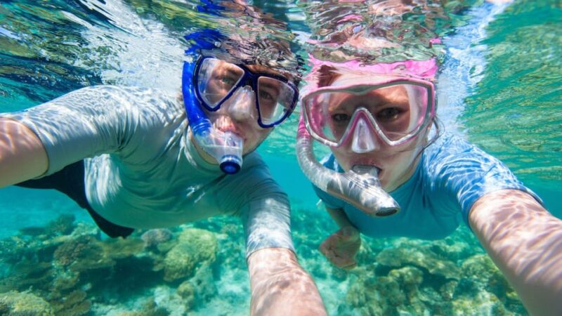 Golfo Aranci: Snorkelling in Cala Moresca - Key Points