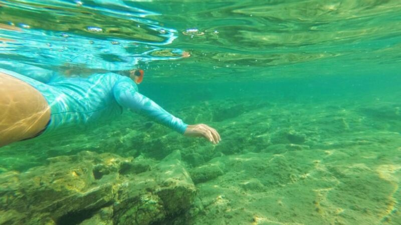Golfo Aranci: Snorkelling in Cala Moresca - Discovering Marine Life
