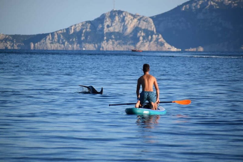 Golfo Aranci: Sup with dolphins, aperitif & photo shoot - An In-Depth Look at the Experience