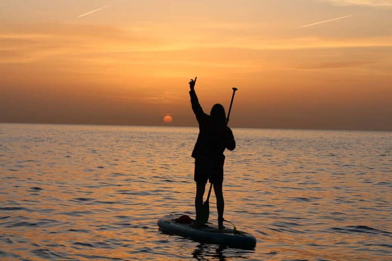 Golfo Aranci: Sup with dolphins, aperitif & photo shoot - The Experience in Perspective