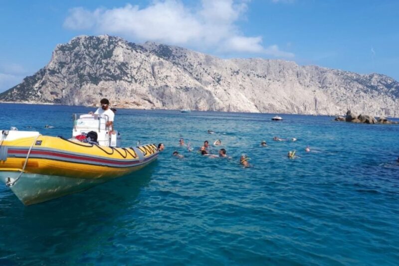 Golfo Aranci: Tavolara and Molara Snorkeling Dinghy Tour - Excluded From the Tour