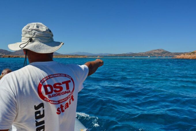 Golfo Aranci: Tavolara and Molara Snorkeling Dinghy Tour - Ratings and Reviews