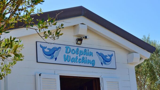 Golfo Aranci: Tavolara and Molara Snorkeling Dinghy Tour - Snorkeling in Molaras Natural Pools