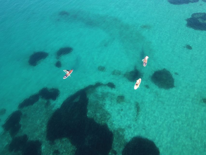 Golfo Aranci Tour SUP Paddleboard Dolphin Aperitif Breckfast - Key Points