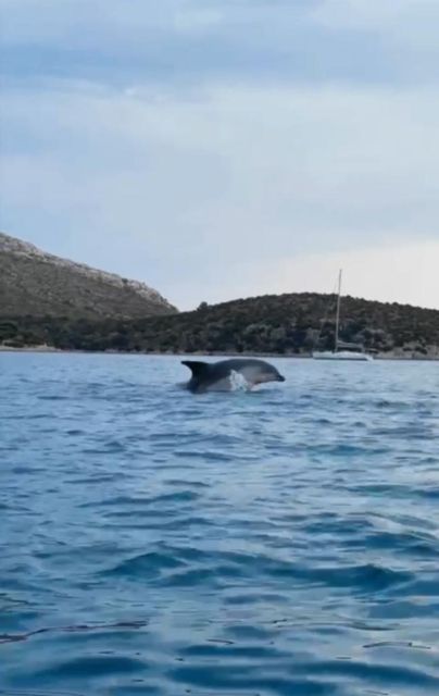Golfo Aranci Tour SUP Paddleboard Dolphin Aperitif Breckfast - Eco-Sustainability