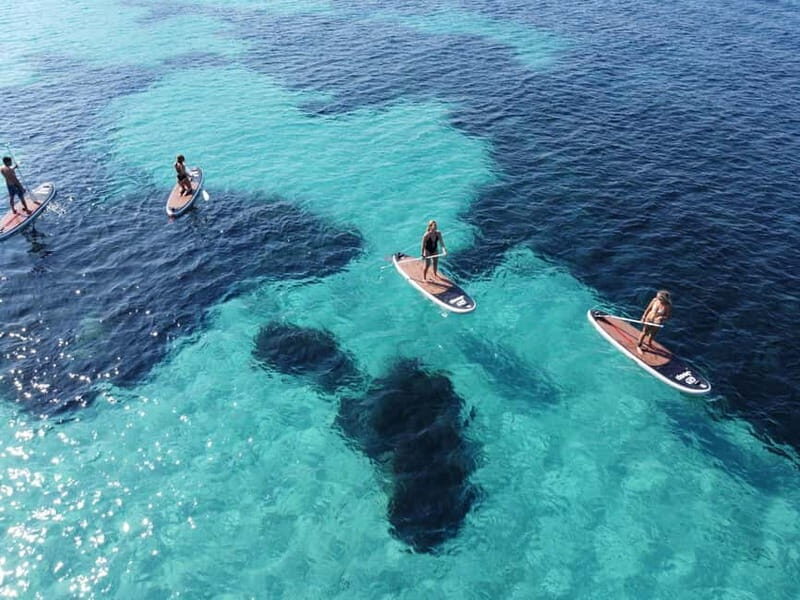 Golfo Aranci tour SUP Paddleboard Dolphin watching, aperitif - An Authentic Sardinian Sea Adventure