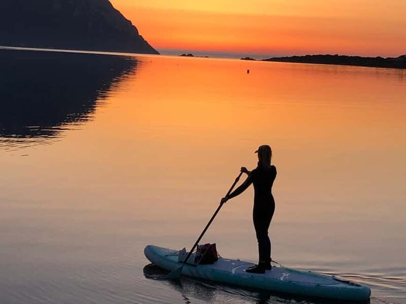 Golfo Aranci tour SUP Paddleboard Dolphin watching, aperitif - FAQs