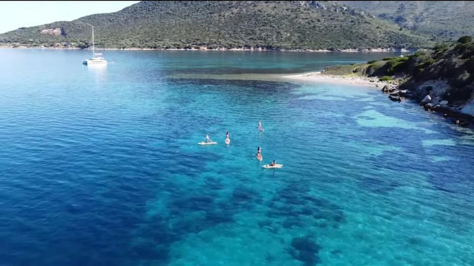 Golfo Aranci Tour SUP Paddleboard Dolphin Watching - Tour Overview