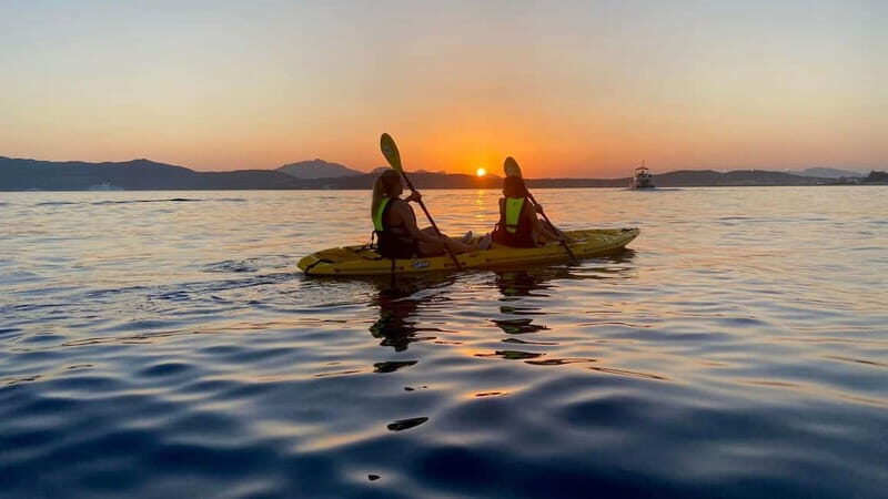 Golfo Aranci:Small group, german guided Kayak tour&Dolphins - Key Points