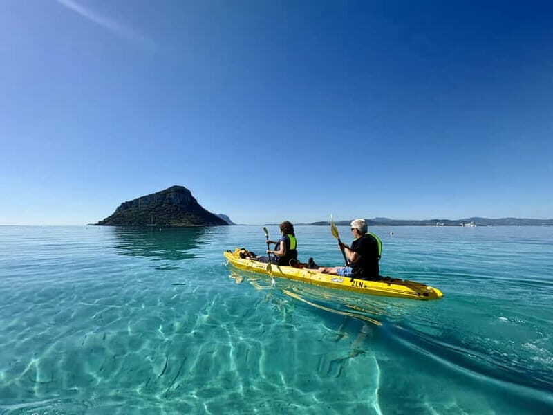 Golfo Aranci:Small group, german guided Kayak tour&Dolphins - What’s Included and What’s Not