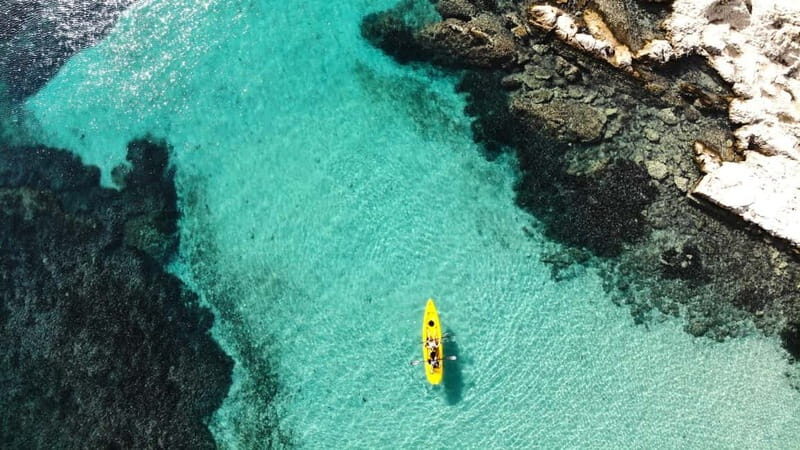 Golfo Aranci:Small group, german guided Kayak tour&Dolphins - Authentic Experiences from Travelers