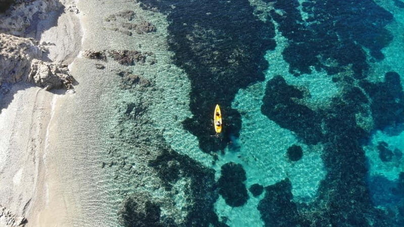 Golfo Aranci:Small group, german guided Kayak tour&Dolphins - The Sum Up: Who Will Love This Tour?