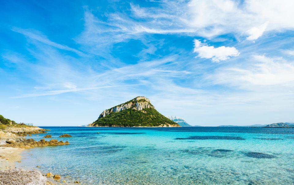 Golphin Bay: Rubber Boat Tour With Marine Biologist - Key Points