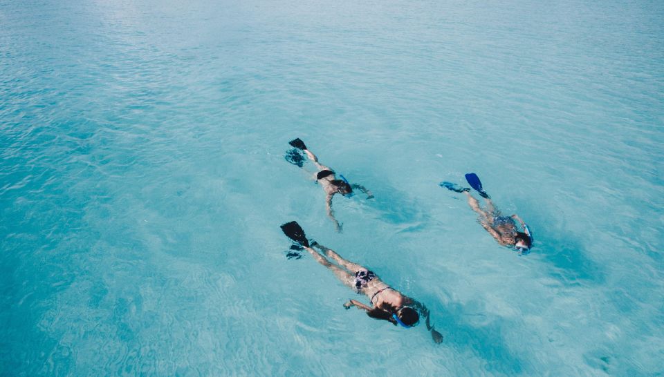 Golphin Bay: Rubber Boat Tour With Marine Biologist - Booking Your Adventure