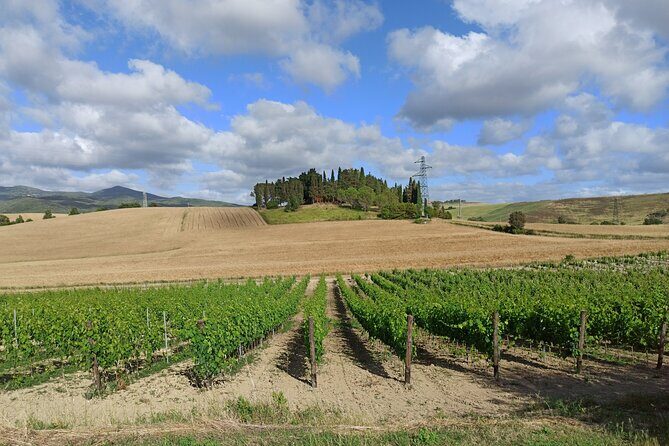 "Good Morning Chianti Classico" - Tour in 2 wineries with lunch - Final Words of Advice