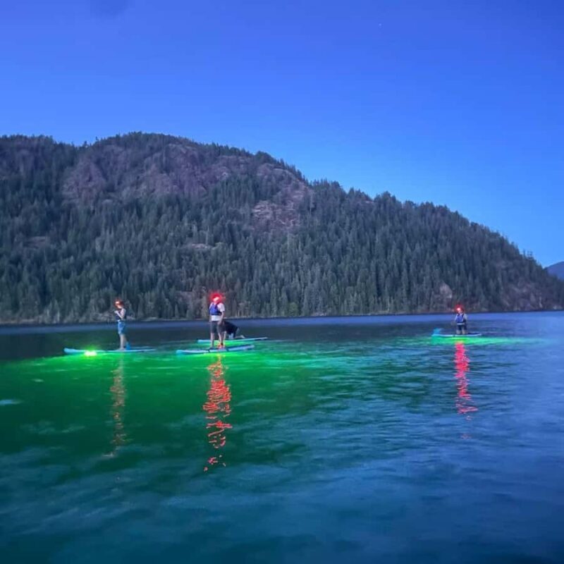 Gordon Bay: Paddleboard Glow Cruise Light & Sound Experience - An Evening of Light, Sound, and Nature