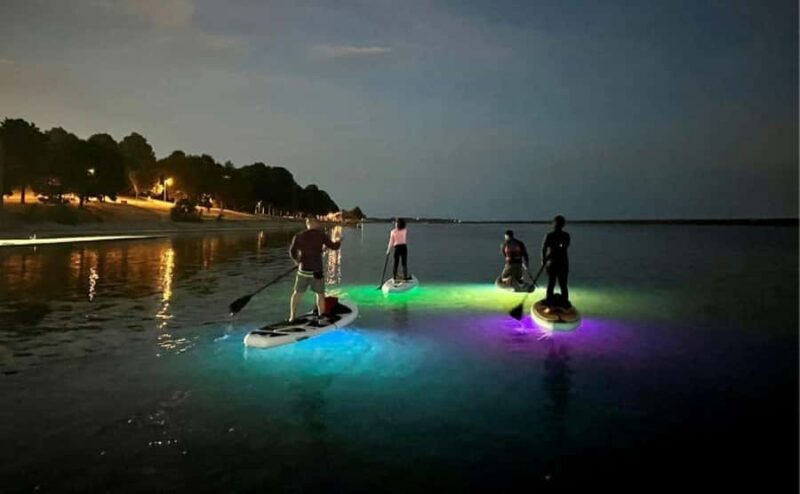 Gordon Bay: Paddleboard Glow Cruise Light & Sound Experience - Why Choose This Tour