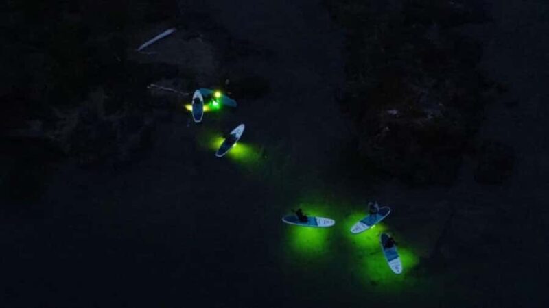 Gordon Bay: Paddleboard Glow Cruise Light & Sound Experience - Who Will Love This Experience