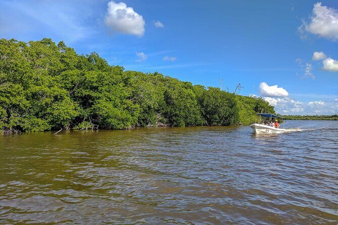 Gorgeous Natural Pink Lake, Las Coloradas Tour! From Cancun & Riviera Maya - What to Expect Based on Guest Feedback