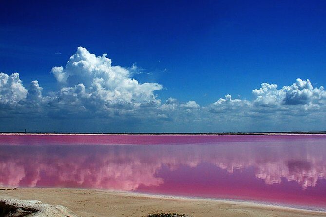 Gorgeous Natural Pink Lake, Las Coloradas Tour! From Cancun & Riviera Maya - Final Thoughts
