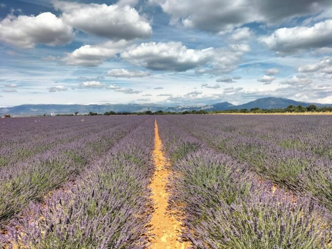 Gorges Du Verdon: Lavenders, Canyon Boat Picnic & Villages - Practical Information and Meeting Point