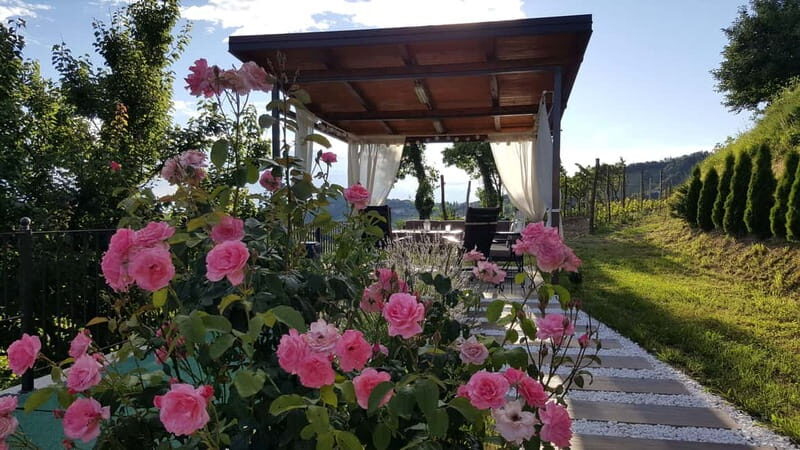 Gorika Brda: Wine Tasting with Local Snacks - Who Should Consider This Tour