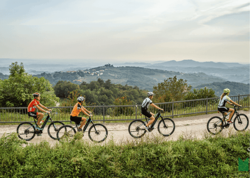GorišKa Brda: E-Bike Tour With Local Guide - Key Points