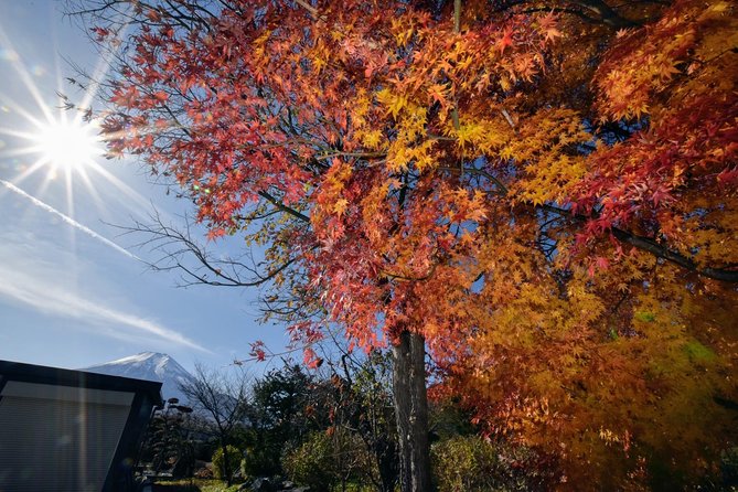 Gotemba Outlet Mall Plus Lake Kawaguchi or Hakone Tour by Chartered Van - Exploring Gotemba Outlet Mall