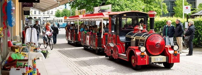 Gothenburg: Old Town Sightseeing Tour - Key Points