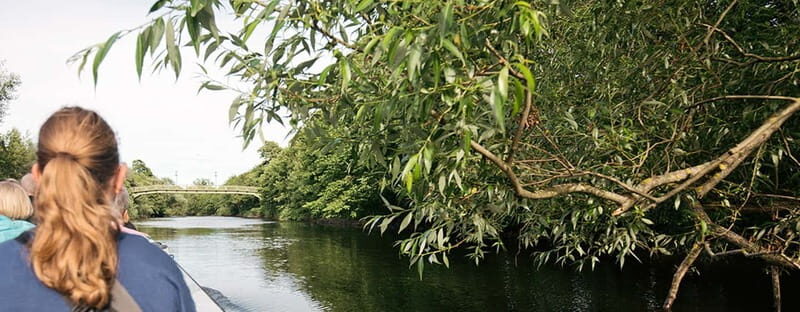 Gothenburg: Paddan Sightseeing Cruise on the River Säveån - Summing It Up: Is It Worth It?