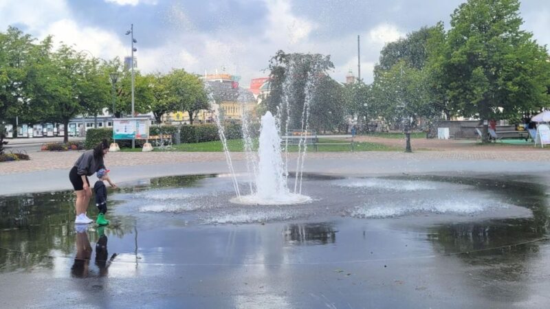 Gothenburg: Top Sights Self-guided Walk - Logistics and Requirements